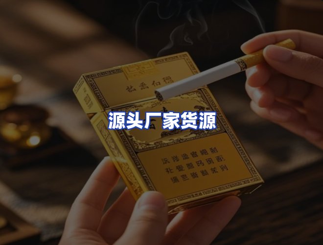 专业团队